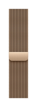 Bild på APPLE 40MM GOLD MILANESELOOP MGHW4ZM/A