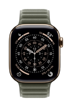 Bild på APPLE 42MM SAGE GRAY MAGNETIC LINK - MGDD4ZM/A