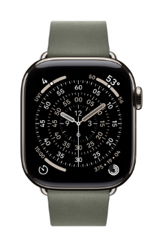 Bild på APPLE 42MM SAGE GRAY MODERN BUCKLE - MGGA4ZM/A